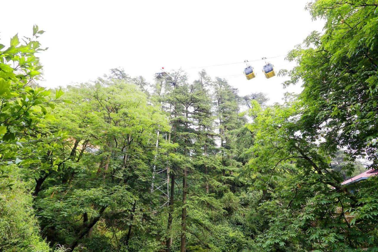 Oyo 45337 Hotel Woodland Shimla Exteriör bild