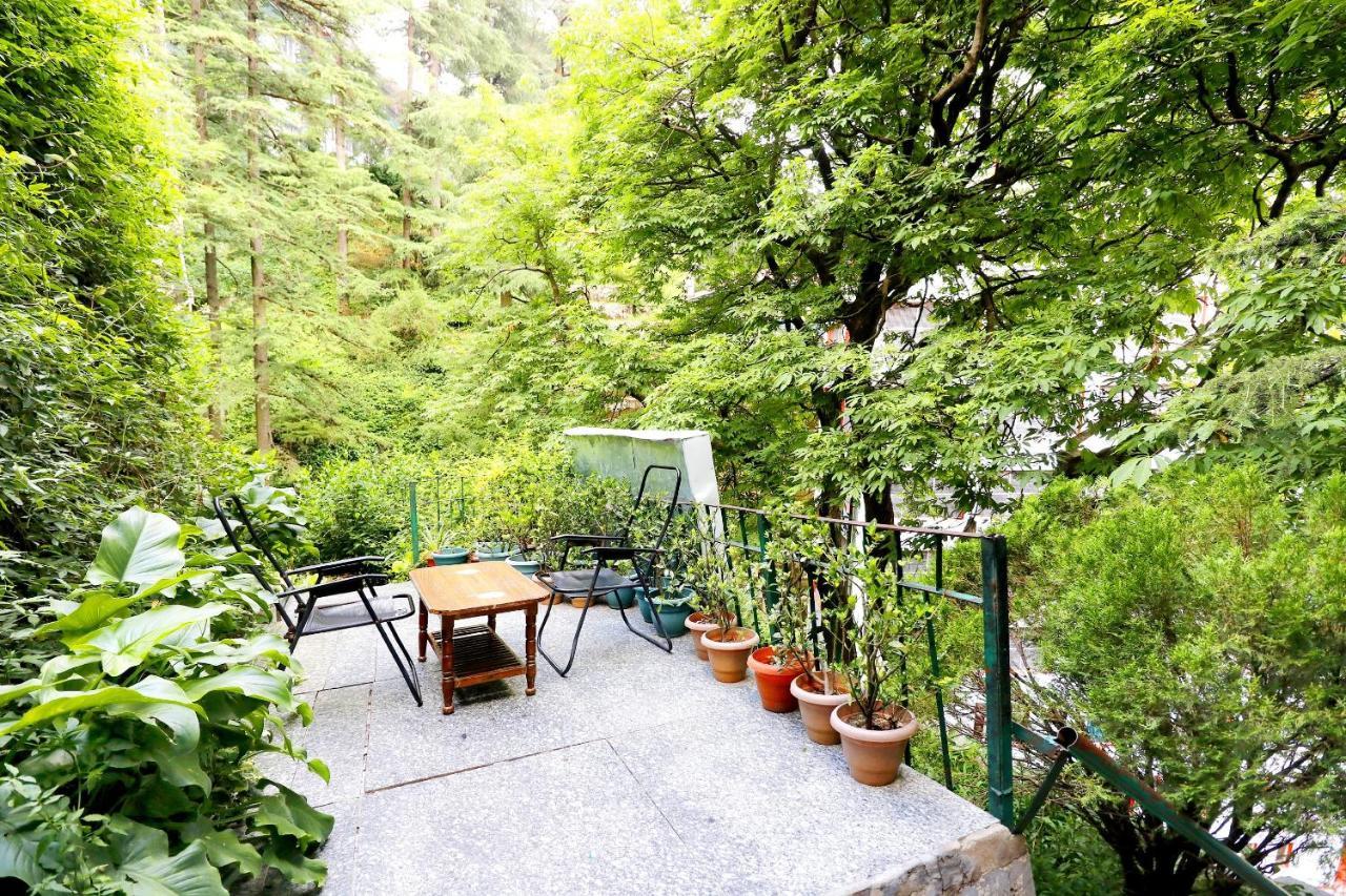 Oyo 45337 Hotel Woodland Shimla Exteriör bild